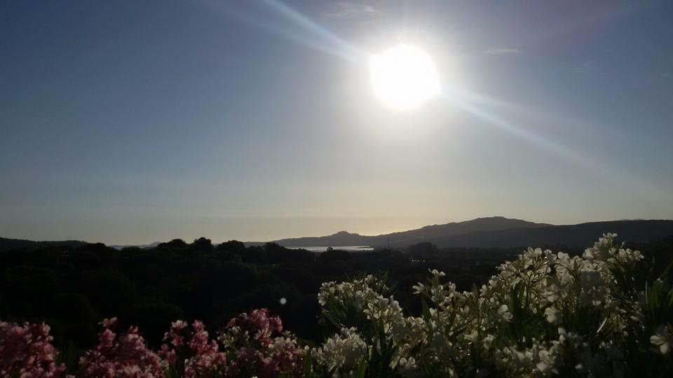 Agriturismo Sa Mendhula Cugnana Værelse billede