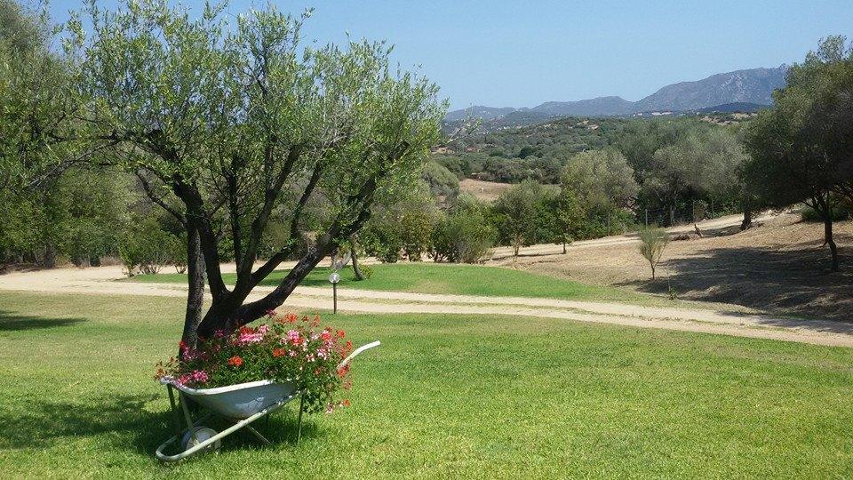 Agriturismo Sa Mendhula Cugnana Eksteriør billede