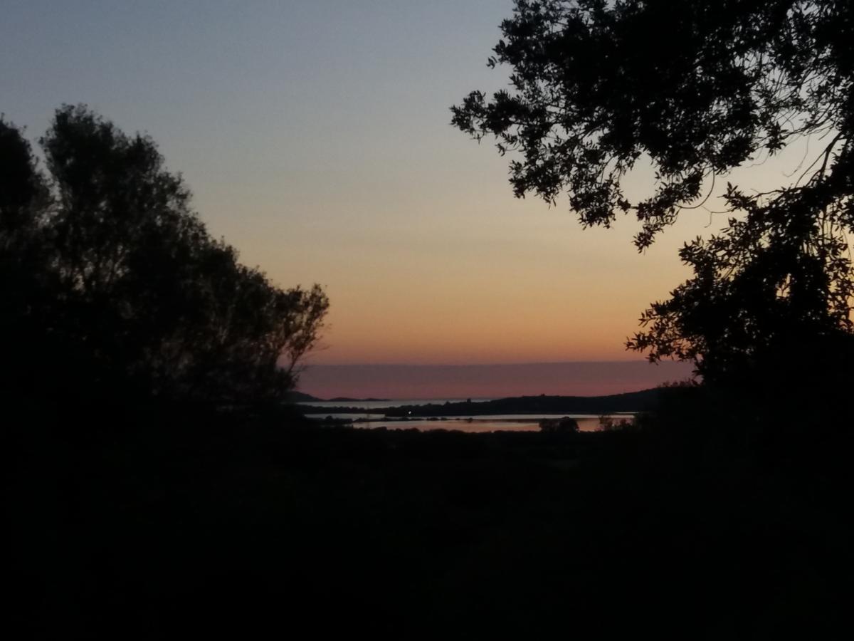 Agriturismo Sa Mendhula Cugnana Eksteriør billede