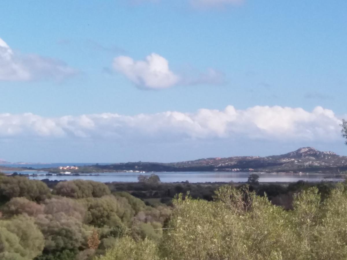 Agriturismo Sa Mendhula Cugnana Eksteriør billede
