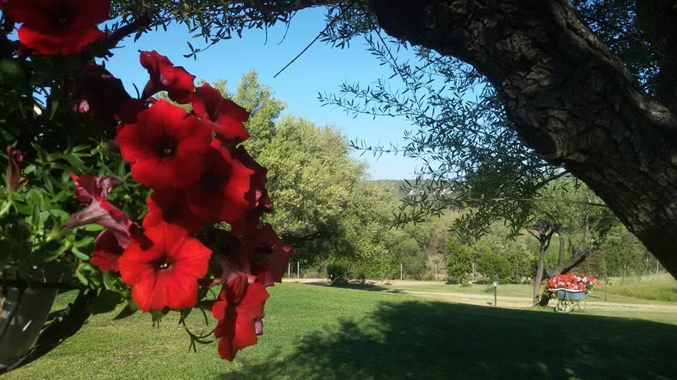 Agriturismo Sa Mendhula Cugnana Eksteriør billede