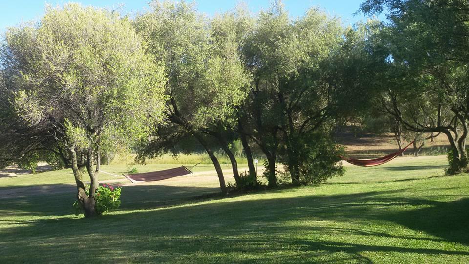 Agriturismo Sa Mendhula Cugnana Eksteriør billede
