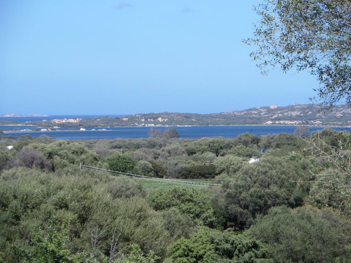 Agriturismo Sa Mendhula Cugnana Eksteriør billede